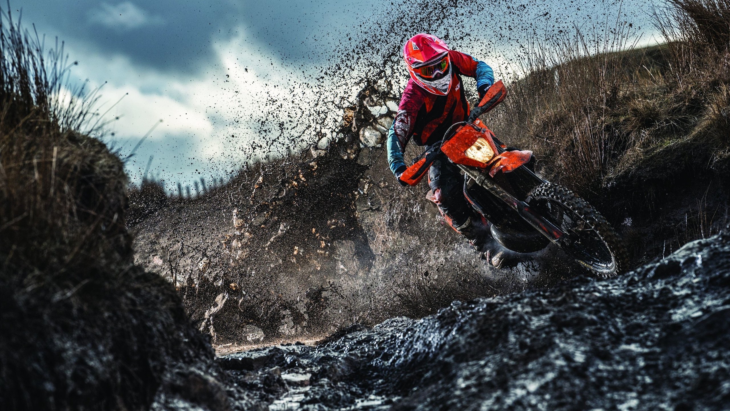 今日2场比赛解析：布莱克本有望逼平 热刺一球小胜，热刺0-1客负布莱顿遭遇两连败